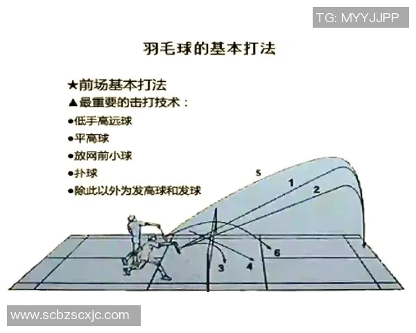 科学羽毛球力量训练的有效方法与技巧解析