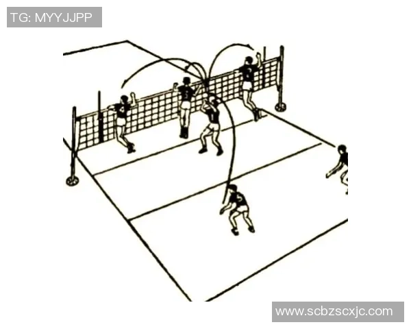 排球新手必看：从基础到战术的全面入门攻略与技巧分享